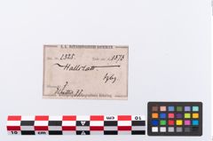 Etikett zu Bronzekugelkopfnadel (NHMW-PRAE-002325)